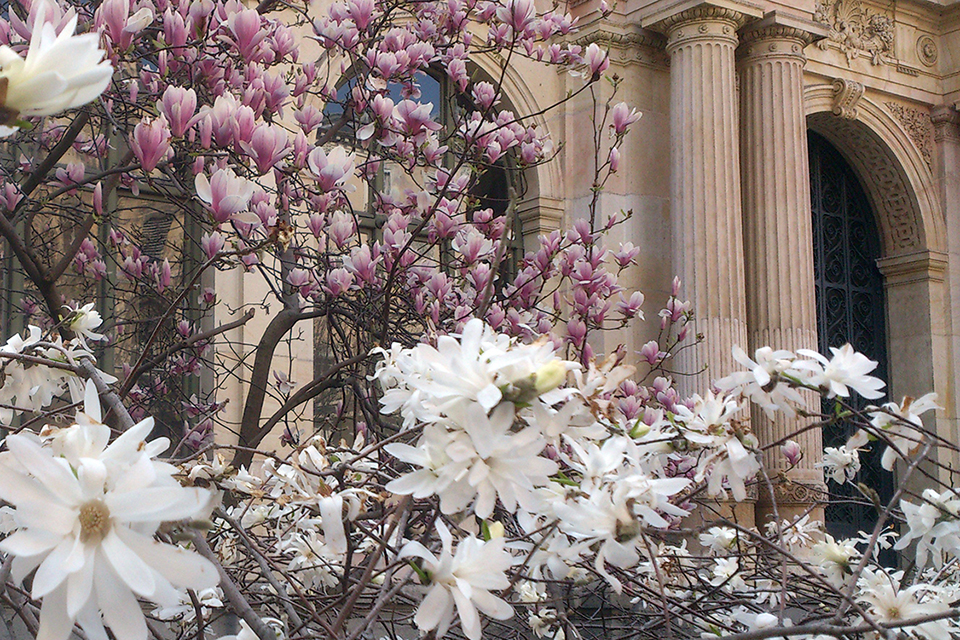 Place de la Bourse en fleurs à Lyon