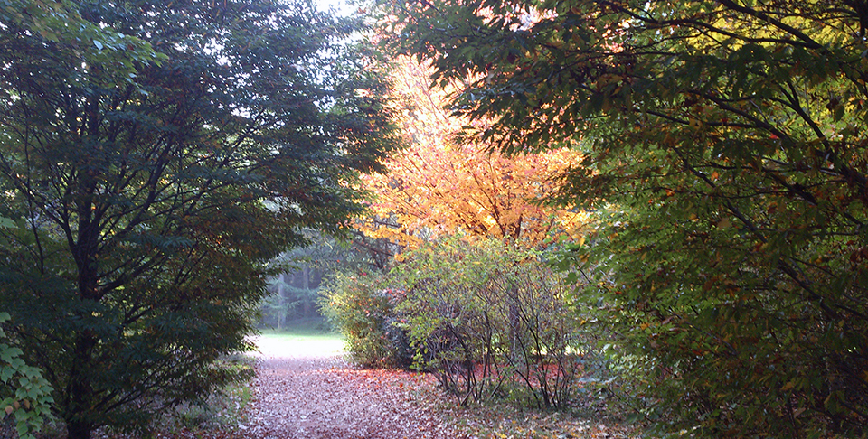 Parc de la Tête d'Or en automne