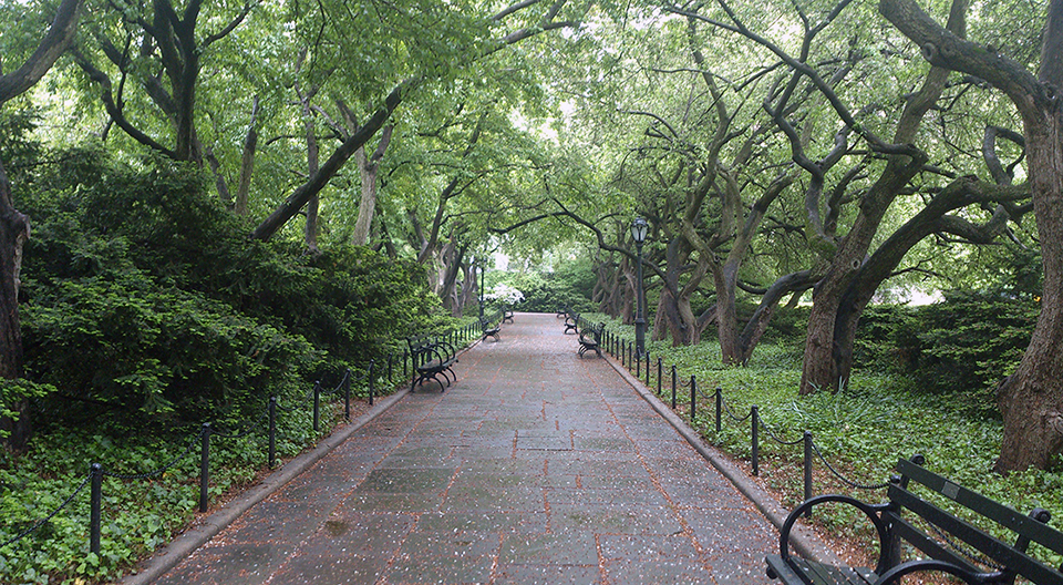 Promenade dans un parc à New-York