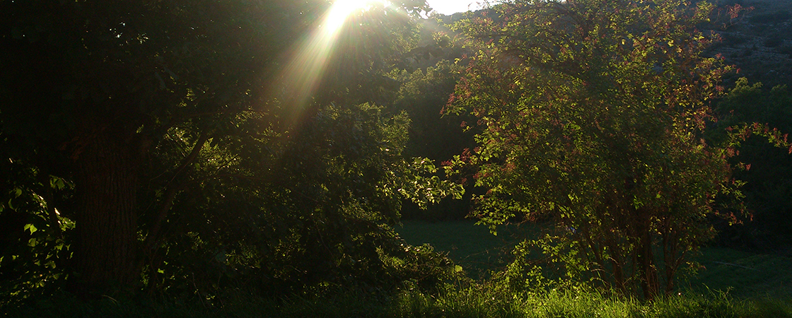 Réveil au soleil en Ardèche