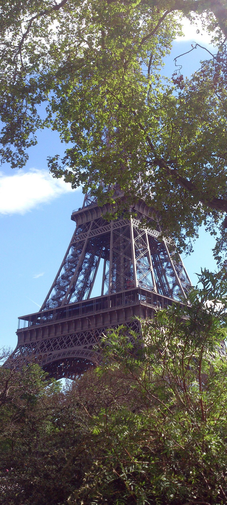 Tour Eiffel dans les arbres