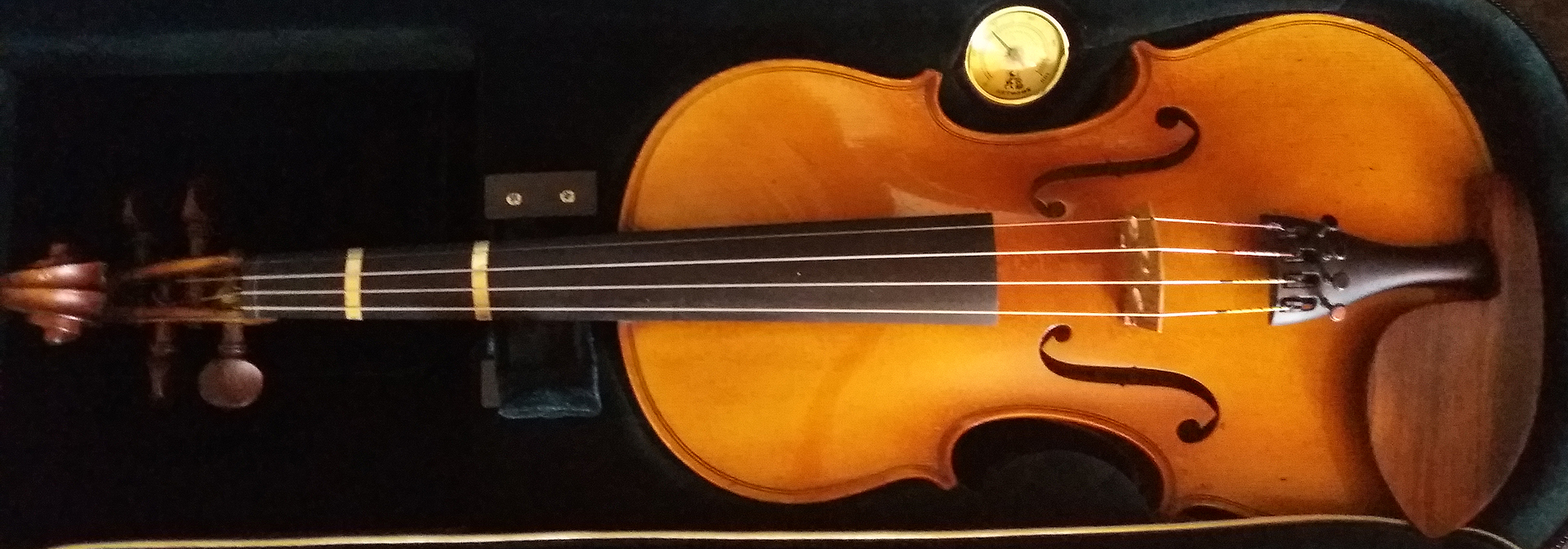 mon violon, magnifique